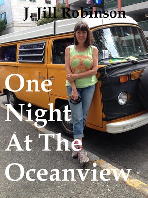cover image of One Night At the Oceanview